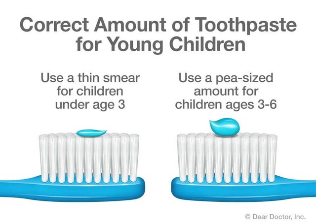 diagram showing correct amount of toothpaste for young children